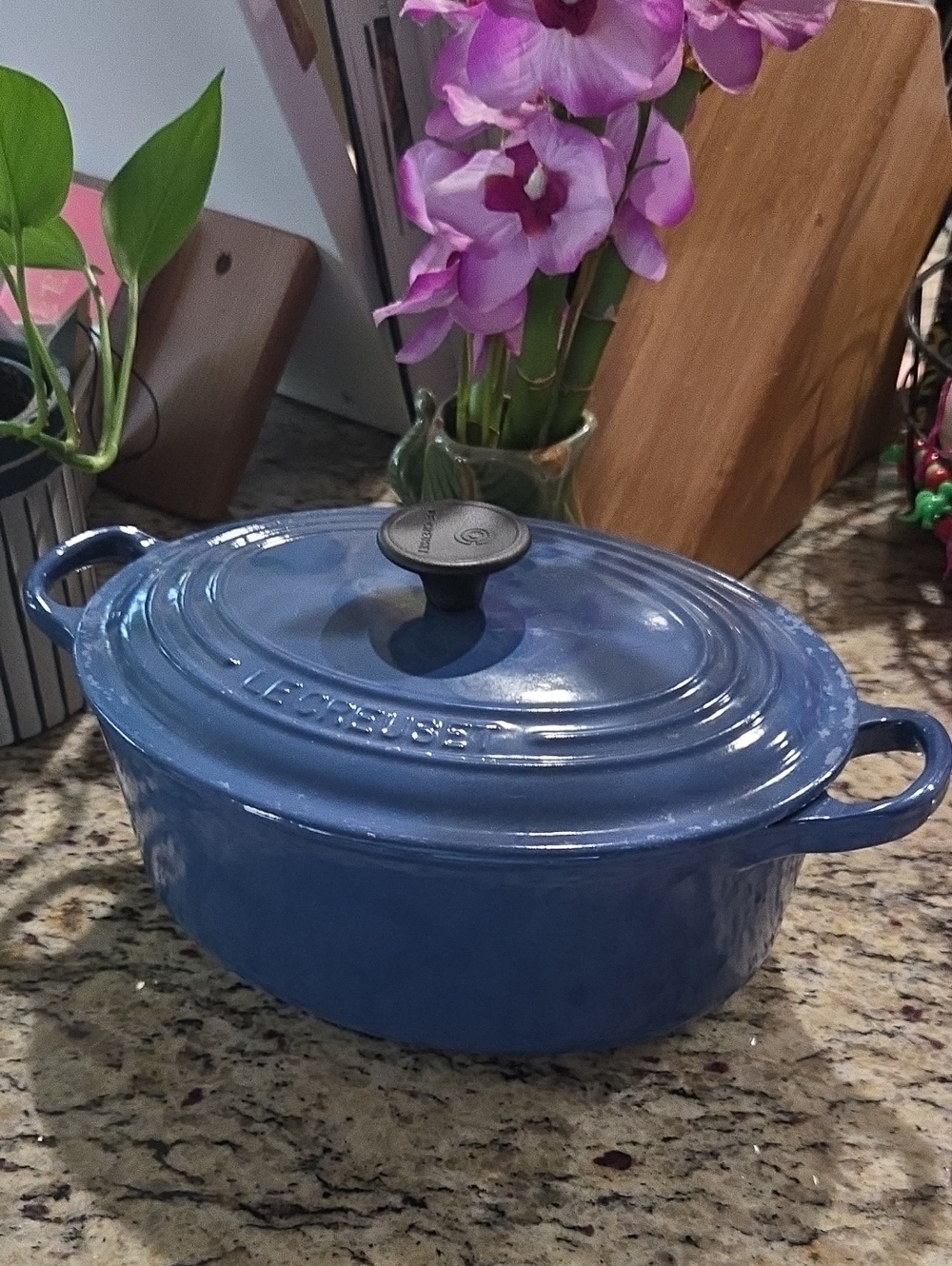 Vintage Le Creuset #23 Blue Enameled Cast Iron Oval Dutch Oven & Lid (France)